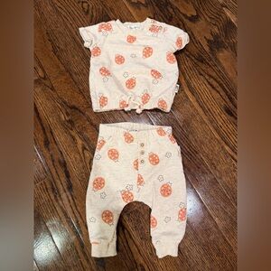Ladybug Print Lounge Set 0-3M Baby Outfit Soft Cotton 2-Piece Rabbit Bear